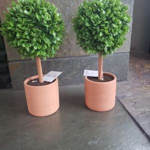 Target topiary- 2 topiaries